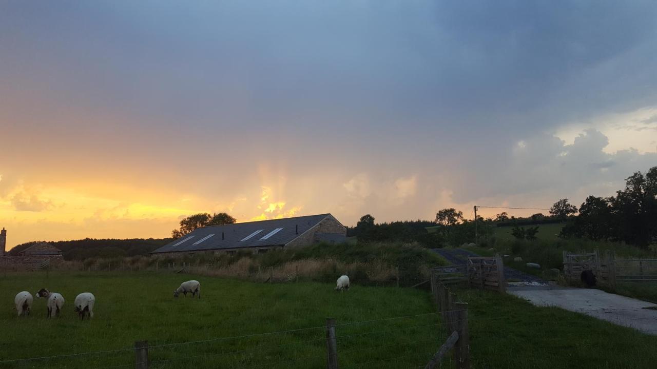 Keld Barn, Low Ploughlands Holiday Lets كيركبي ستيفين المظهر الخارجي الصورة